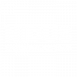 Logo NIDUS
