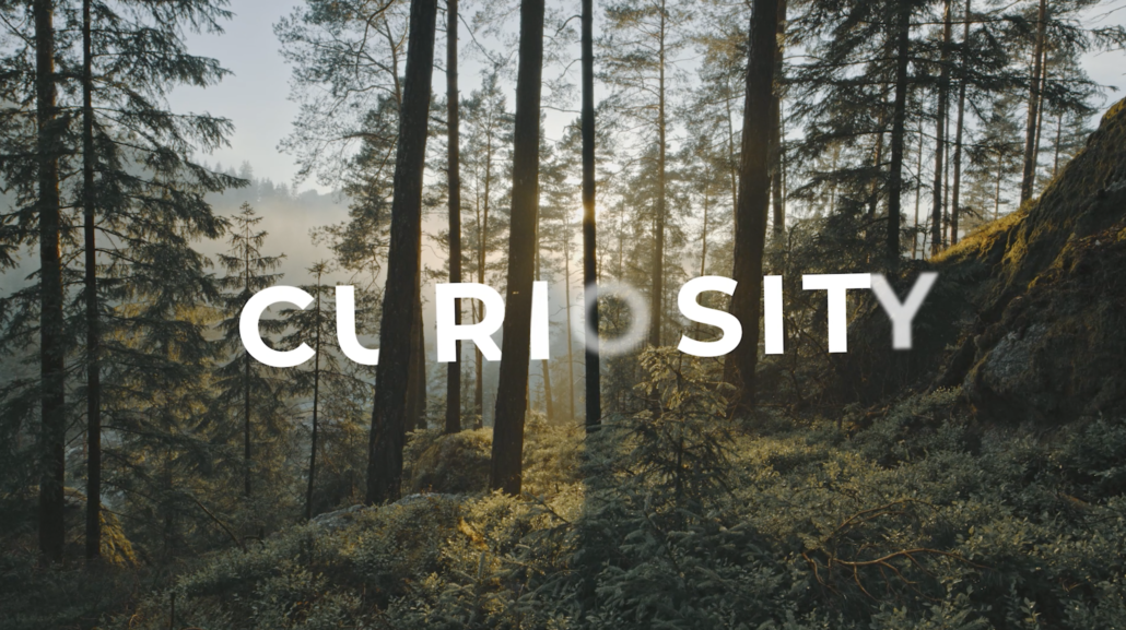 Case Study X TIMBER - Erklaervideo Produktion