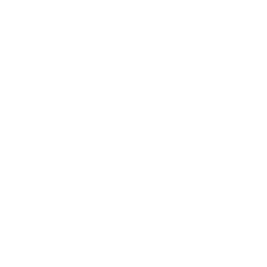 Logo Bocek