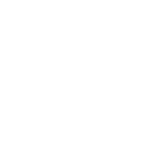Logo Capgemini Engineering