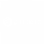 Logo ETHRIS