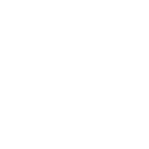 Logo Haflinger