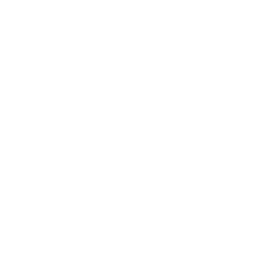 Logo Premium Talk