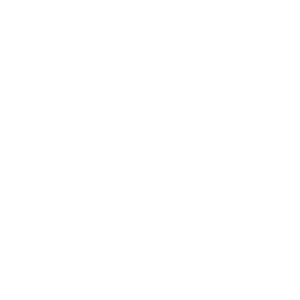 Logo puul
