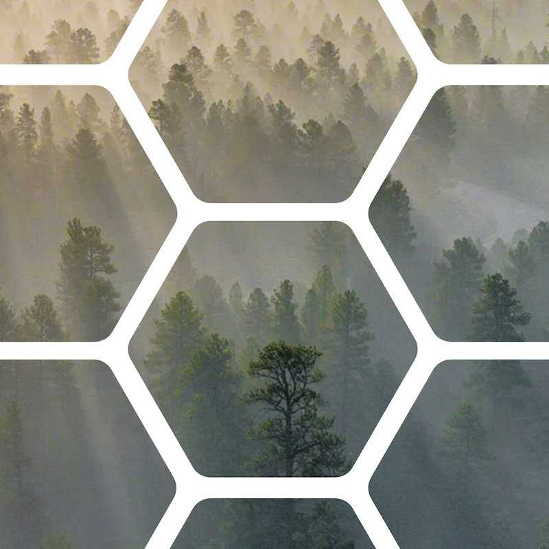 LAYERS Website - Konzept, Webdesign und Umsetzung von TM BRANDING