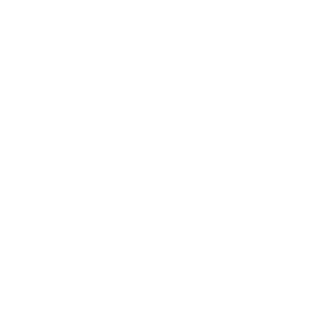 Logo TechnoAlpin