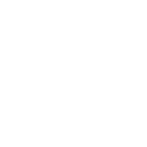 Logo ETHRIS