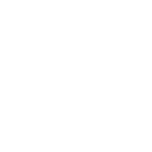 Logo HIN